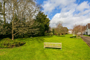Communal Gardens- click for photo gallery